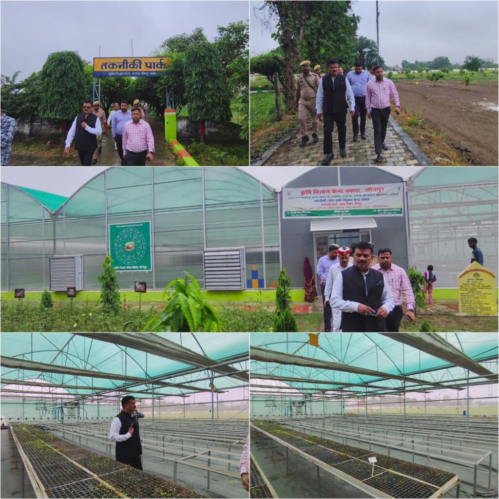 IMG-20251101-WA0008(1)